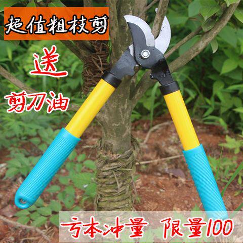 Affordable coarse branch cut with high branches pruner branches fruit trees Greening flower gardening scissors flex vigorously cut twigs cut branches