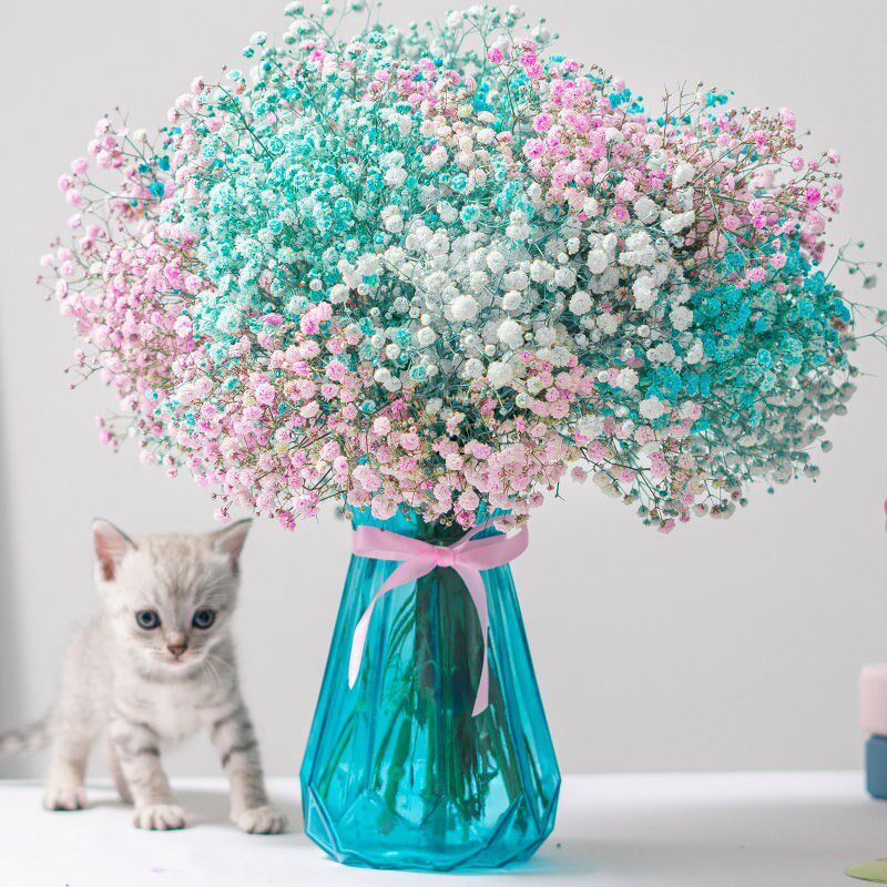 Multicolor baby's breath dried flower bouquet real flower bottle forget-me-not eternal flower living room decorations