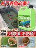 Fish Pond Algae and Moss Remover, Fish Tank Green Water Clarifier, Powerful Remover for Indoor and Outdoor Blue Algae, Black Algae, and Brown Algae