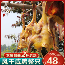 Air-dried chicken 2 kg whole Anhui specialty salted chicken chicken farmhouse diy hand-pickled free-range chicken special flavor