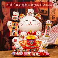 20 дюймов, тысячи клиентов, ruyi cat