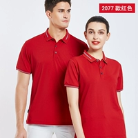 2077 Цвет, борская бизнес -модель красная