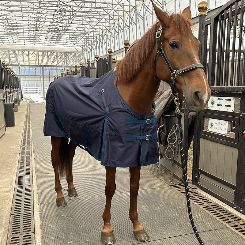 Однослойная водонепроницаемая одежда для лошадей EPONA, дышащая и удобная одежда для лошадей, весенне-летняя одежда для лошадей, принадлежности для верховой езды, конный спорт