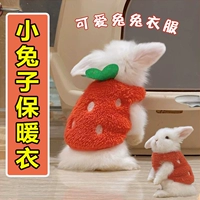 Симпатичная весна и осенняя курица и одежда морской свинки для тепла для карликовых кроликов