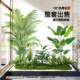 Simulated green plants potted plants landscaping indoor bonsai restaurant scene decoration window landscape simulation tree under the stairs