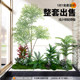 Simulated Green Plants for Landscaping, Indoor Landscape, Artificial Plant Combinations, Window Decoration, Courtyard Layout, Artificial Trees under Stairs