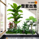 Simulated Green Plants for Landscaping, Indoor Landscape, Artificial Plant Combinations, Window Decoration, Courtyard Layout, Artificial Trees under Stairs