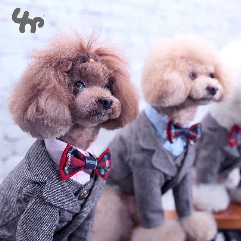 Unpet Baojuan Pet Puppy Clothes Small and Medium Dog Teddy Bichon Frize Puppy Dress Autumn and Winter Net Red Suit - Taobao