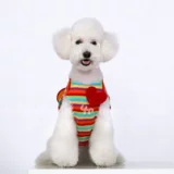 Семья с сокровищами ранняя весна костюм домашнего животного плюшевая собака Супер милая может быть демонтирована в обработке сердца рюкзак Rainbow