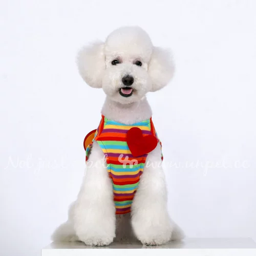 Семья с сокровищами ранняя весна костюм домашнего животного плюшевая собака Супер милая может быть демонтирована в обработке сердца рюкзак Rainbow