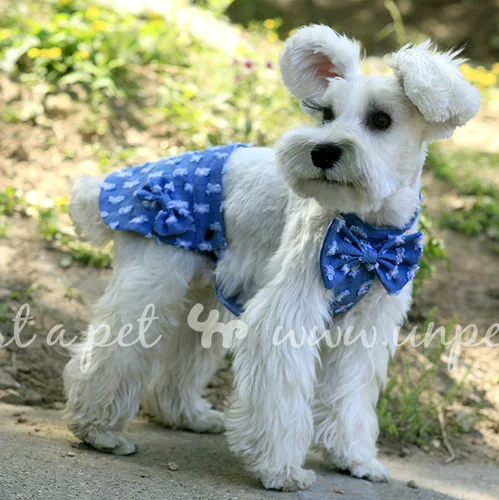 Джинсовая парная одежда с бантиком для влюбленных, платье, комбинезон