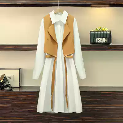 Single large size women's 2021 spring new foreign pie age reduction belly slim fashion vest dress two-piece