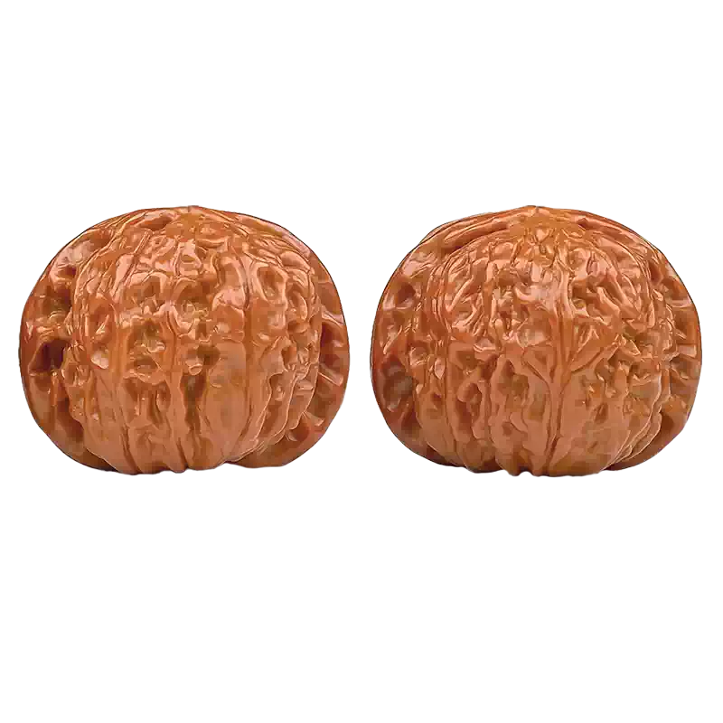 文玩核桃白狮子核桃一物一图三角闷尖狮子头手