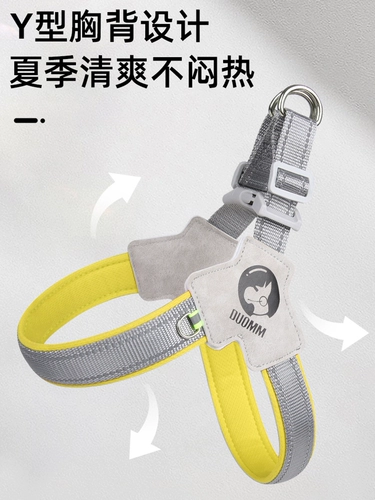 Ошейник для французского бульдога, корги, Шиба-ину, жилет, стильный поводок для выгула собак, ошейник для маленьких и средних собак