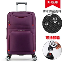 Элегантное колесо с пурпурной одеждой оксфорд