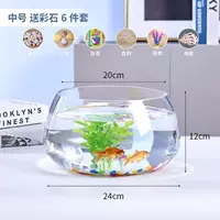 Танк средней черепахи+цветной камень 6 -купоток