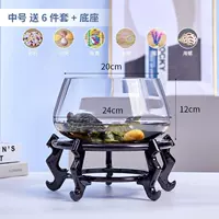 Танк средней черепахи+цветный камень 6 -купоток+основание