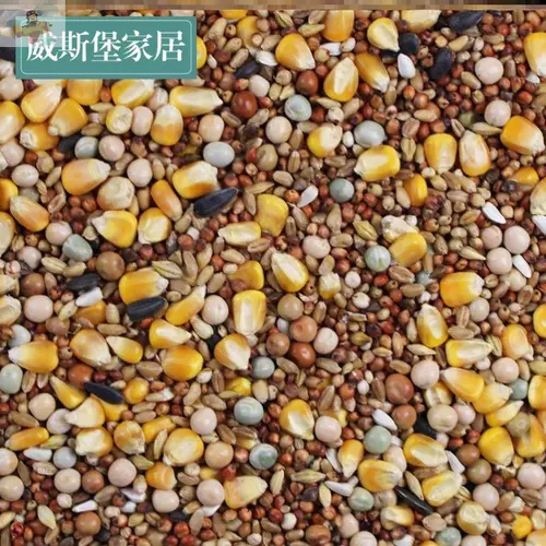 Голубиное зерновое зерно зерно 10 кот 50 Catties Бесплатная доставка 20 Catties кормового зерна голубь без кукурузного питания пищевых голубей