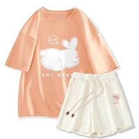 Оранжевый застенчивый кролик+абрикосовый порошок сердце k