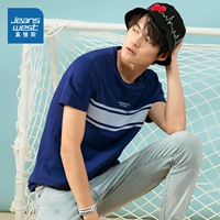 Павлин синий 2562