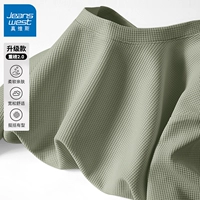 Matcha Green #ZS Solid Color