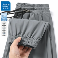 [Брюки Biose] Серый #ZS однотонный