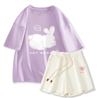 Сиреневое пурпурное застенчивое кролик+абрикосовый порошок сердце k