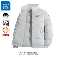 【Липучка】Светло-серый #ZS однотонный цвет