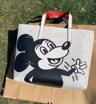 Canada direct mail Kouchi cooperation model tote bag