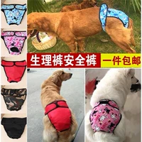 Физиологические штаны для мальчика собаки большие собаки Cobki Pet Big Dog Case Case Holiday Менструальная тетя Золотая гигиена гигиены.