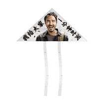 2024 new kite removes three harmful effects in one minute easy for children to fly in the breeze Shandong Weifang Kite