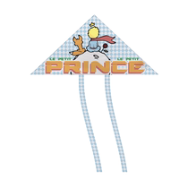 Adult outdoor hand-held kite is a flying fish Little Prince Painted DIY Park Square Kite Shandong Weifang