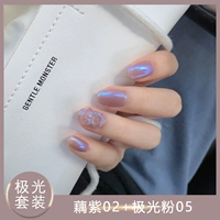 光 Purple 02+ Aurora Powder 05