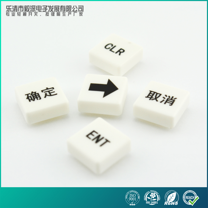 Factory direct sale SC220 square switch button cap with 12*12 square head light switch button cap