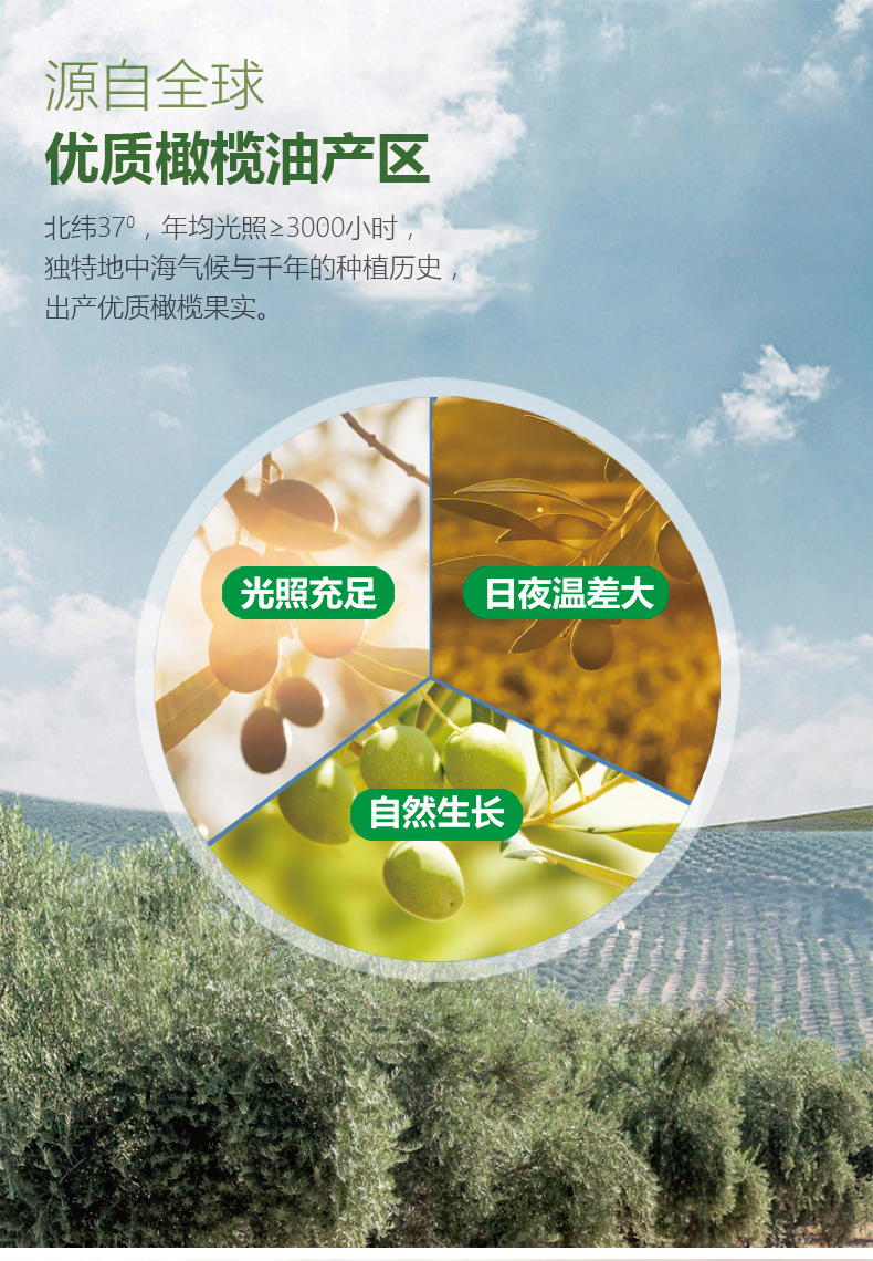 物理冷榨、10%西班牙进口橄榄油：5L大桶装 金丰盛 植物调和油 券后51.9元包邮 买手党-买手聚集的地方