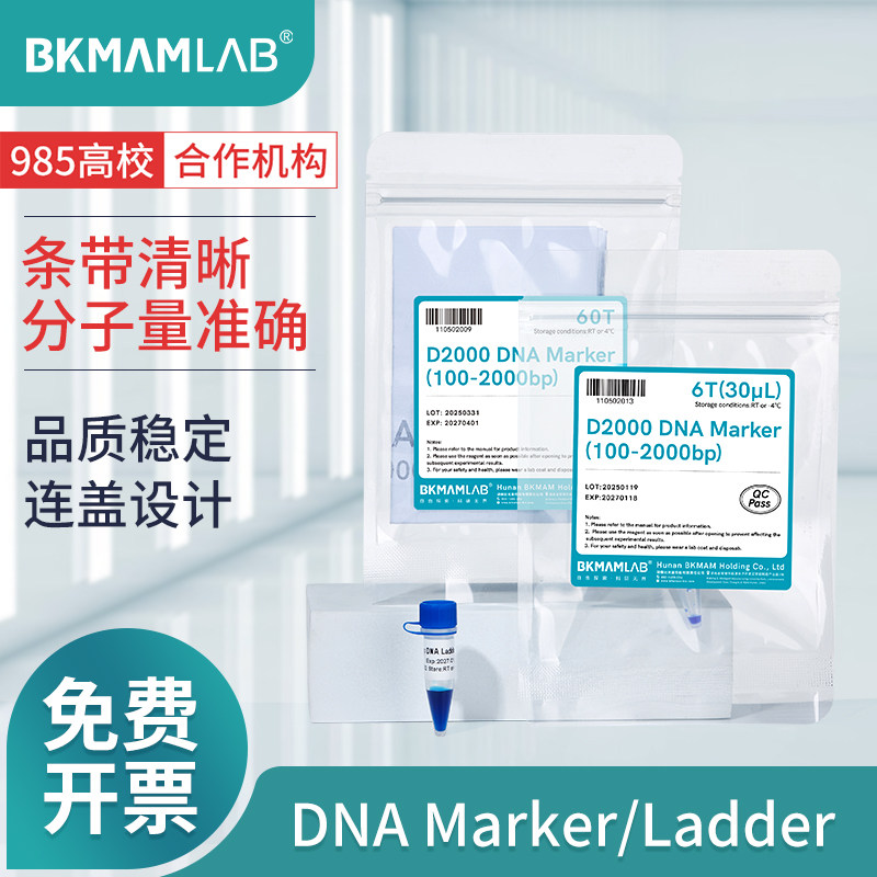 比克曼生物DNA Marker/Ladder核酸凝胶电泳实验源叶三色预染蛋白