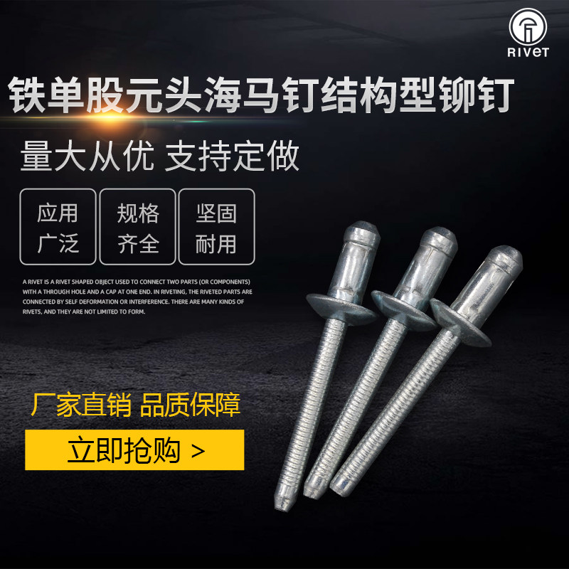 Single Drum Sea Horse Nail Round Sunken Head Iron Pumping Core Pull Rivet Car Rivet Anchor Nail Structure Type Bint BMW Big Beam