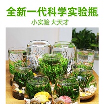 5th grade Upper Science Experimental Ecobottle Diy Material Package Water Nation 5th grade Primary school students Science ornamental fish micro-landscape free of water and water-free water group