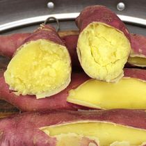 Chestnut sweet potato Shaanxi sweet potato white heart sweet potato fresh Vietnamese flavor old variety yellow white flesh sweet potato 10kg