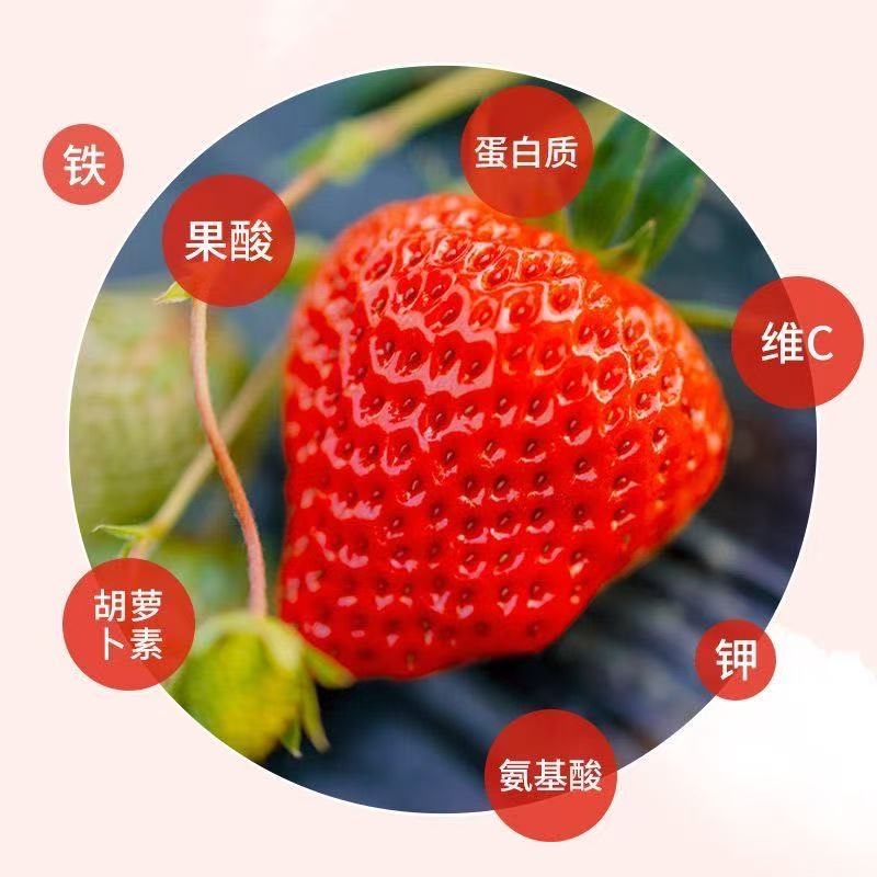 果遇农场的LOGO