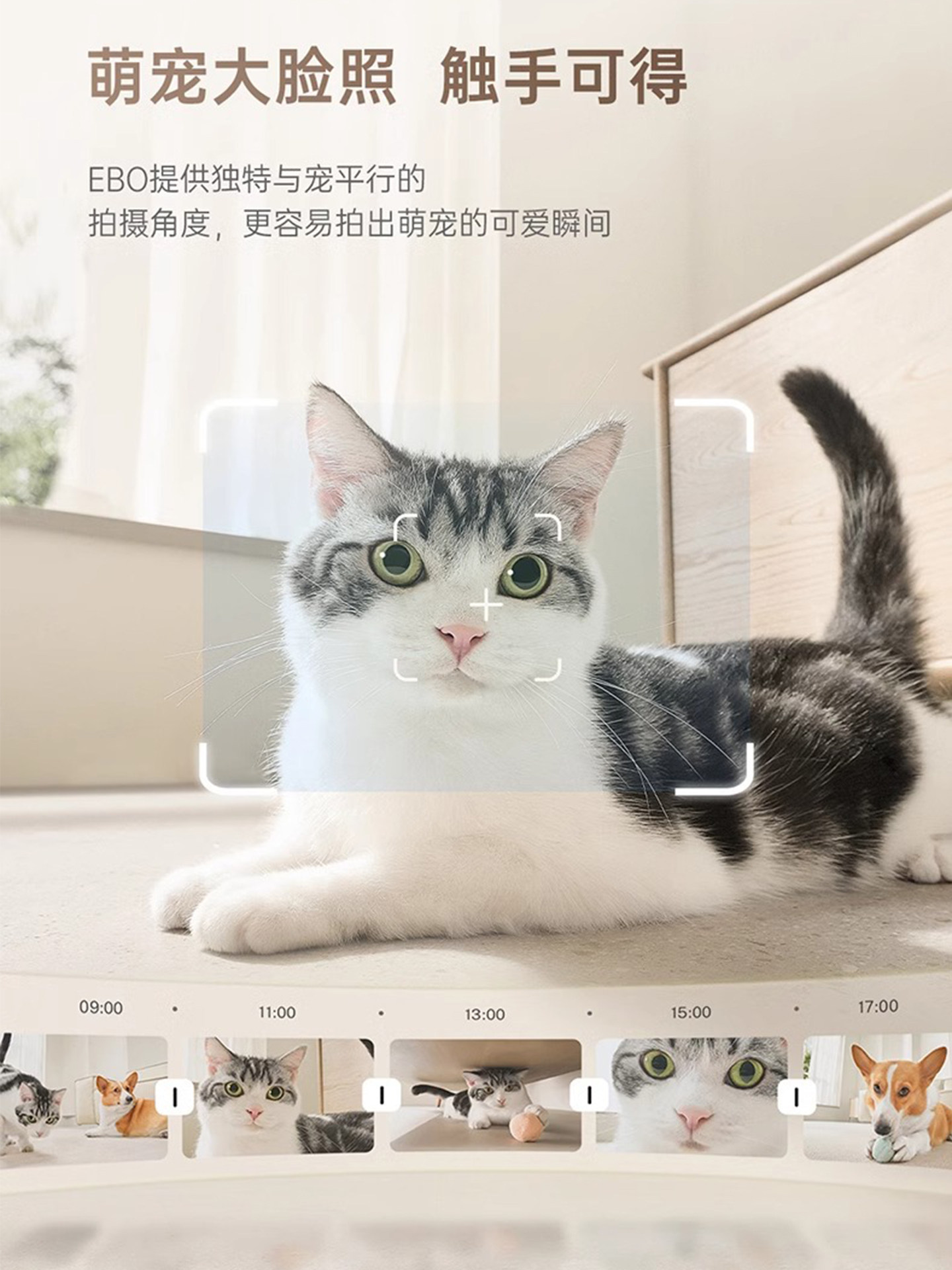 Enabot Whole-House Mobile Camera Ebo Pet Robot Intelligent Remote Mobile Phone Remote Control Indoor Monitor