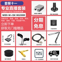 Пакет Eleven M Sound Card+ISK IKG3000