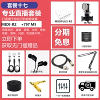 Пакет Семнадцать Рутилист R2+797 M5