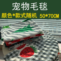 (50*70CM) Pet blanket coral blanket is small colored blanket