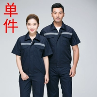 Тибетская синяя анти -светлая полоса