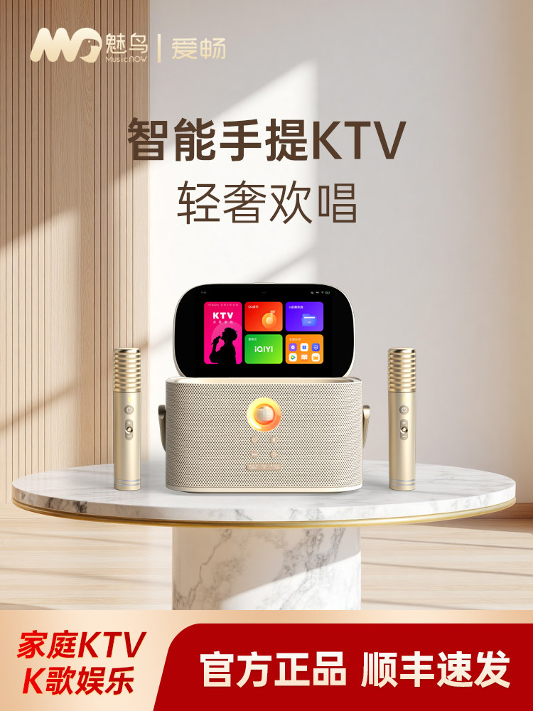 Smart Portable Ktv Aichangmei Bird Premium Edition Audio Set for Home Karaoke Singing Portable Karaoke Machine