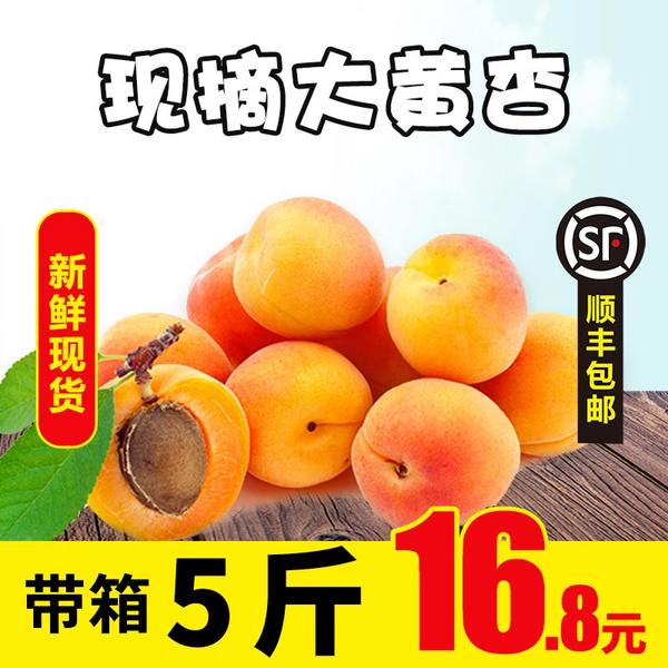 留香岛 新鲜山西大黄杏 带箱5斤 天猫优惠券折后￥16.8顺丰包邮（￥21.8-5）