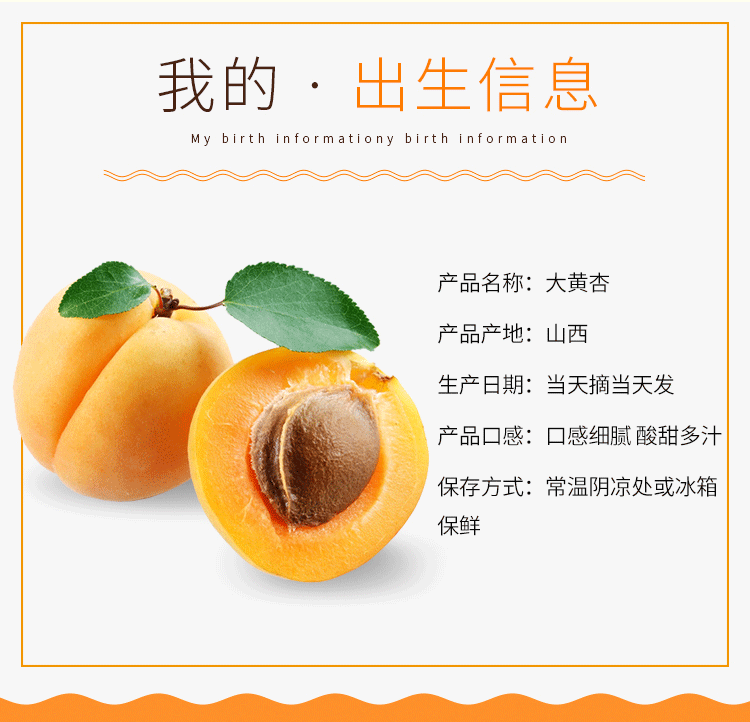 留香岛 山西 金太阳大黄杏 5斤 图3