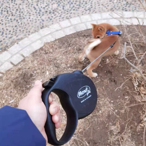 Flael Alien Dog Traction Toving маленькая собака Таро Пурпурная весна Японская большая собака Автоматическая телескопическая цепь собак