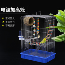 New tiger skin Xuanfeng Parrot bird cage large starlings peony bird cage raised plating cage breeding cage
